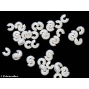Päällyshelmi stardust kimalle hopeanvärinen 5x4x4 mm, 10 kpl
