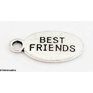 Riipus soikea 10 x 18 mm "BEST FRIENDS" antiikkihopea, 8 kpl