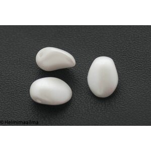 Tulppaanin terälehdet