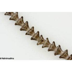 Kellokukka 10x13 mm vaaleanharmaa, 4 kpl