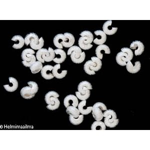 Päällyshelmi stardust kimalle hopeanvärinen 5x3 mm, 10 kpl