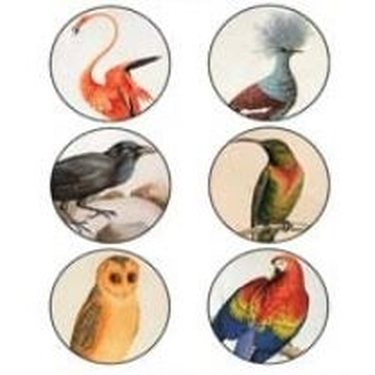 Paperikuvat / Collage sheet linnut, kuva pyöreä 30 mm, 18 kuvaa