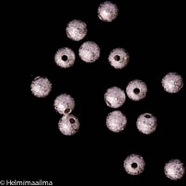 Metallihelmi stardust kimallehelmi hopeoitu 4 mm, 10 pc